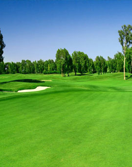Green Zone